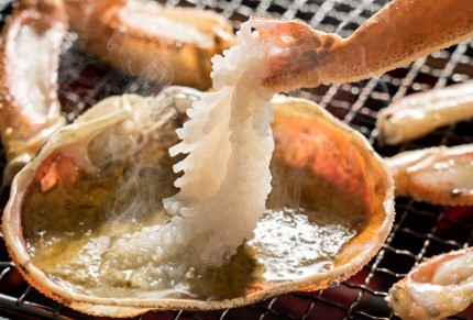 【22015】鳥取県網代産　松葉がに（足折れ１～２本）500g以上（生）