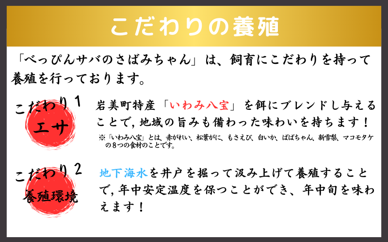 【24023】★ZIP!で紹介★ 岩美町産 「サバさし」3人前（べっぴんサバのさばみちゃん刺身）