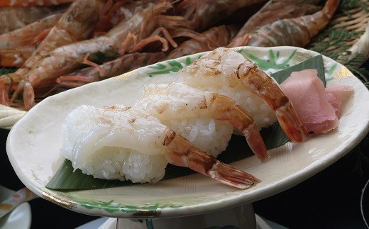 【23001】「幻のえび」モサエビ