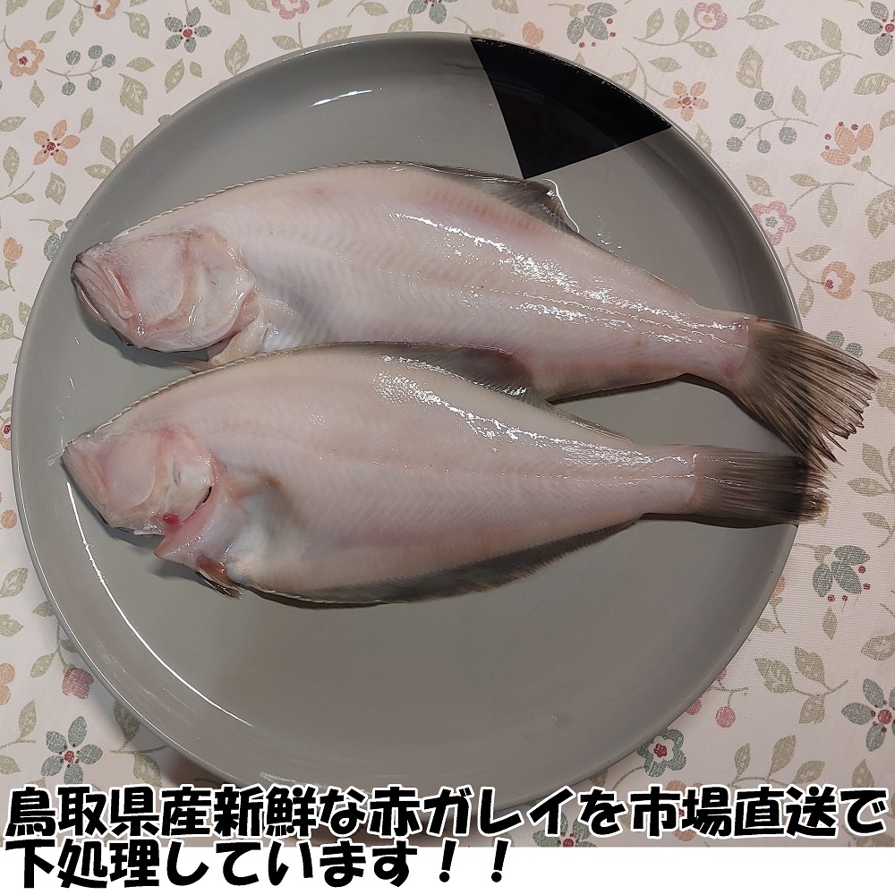 【24008】赤ガレイ簡単煮つけ４枚セット 鳥取県岩美町特産