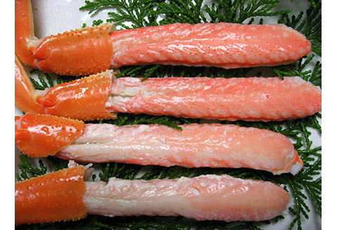 【22036】鳥取網代港　地元で大人気　活！若松葉ガニ（中5枚）【さかなや新鮮組】