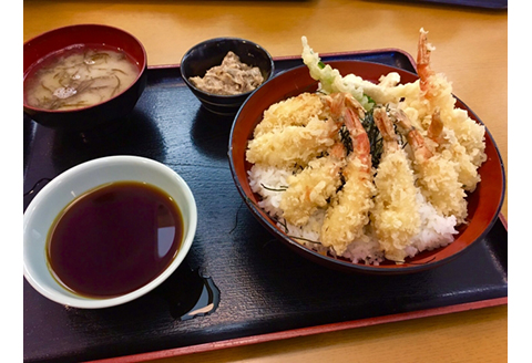 【23003】鳥取網代港 ≪幻のエビ≫朝獲れ！活モサエビ【さかなや新鮮組】発送は2026年2月～