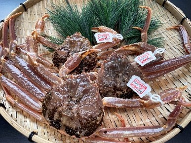 【22016】鳥取県網代産　訳あり松葉がに1kgセット(生)