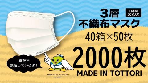 【72001】鳥取県岩美町産 不織布マスク 50枚入り×40箱（2000枚）