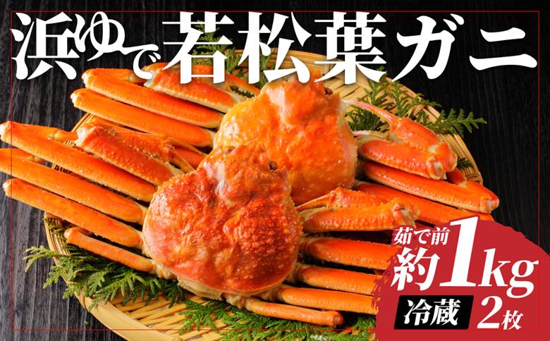 【22042】岩美町特産　若松葉ガニ姿茹で　2枚セット