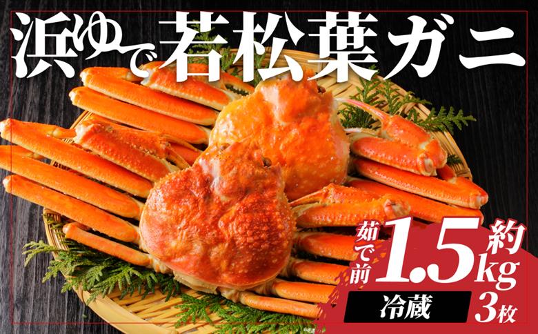 【22043】岩美町特産　若松葉ガニ姿茹で　3枚セット