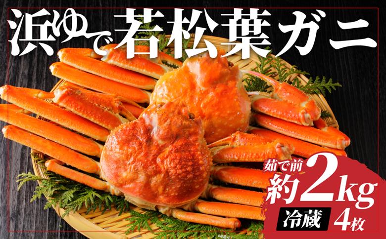 【22044】岩美町特産　若松葉ガニ姿茹で　4枚セット