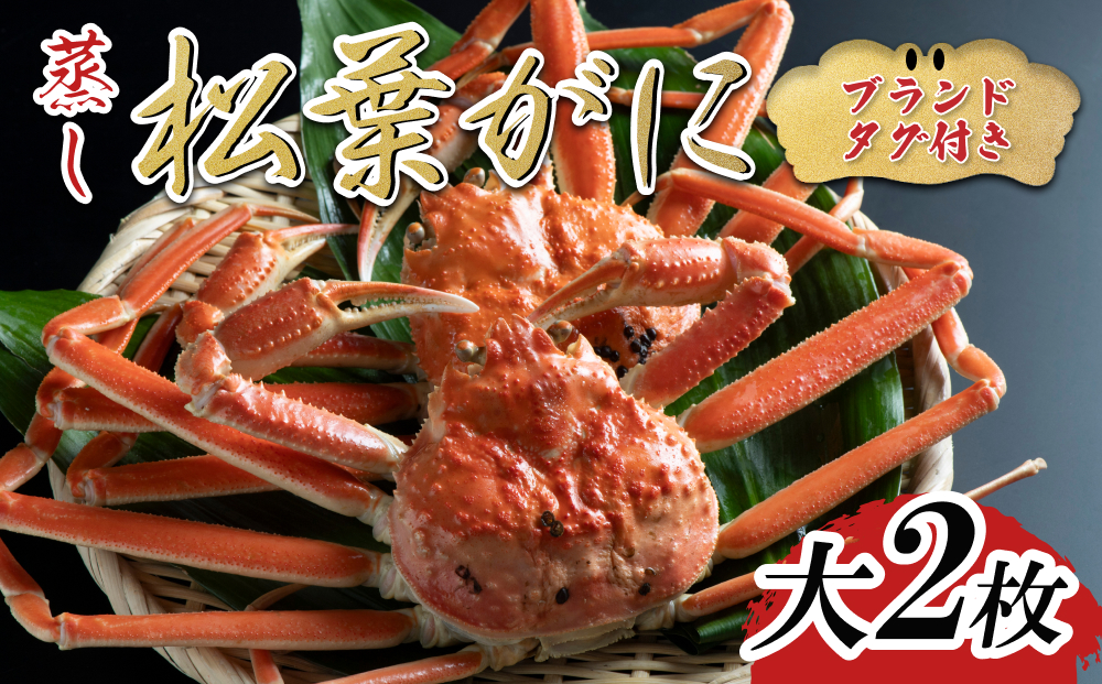 【蒸し】ブランドタグ付き松葉ガニ 大 2枚 2025年11月～順次発送｜鳥取 岩美 松葉がに かに【22051】