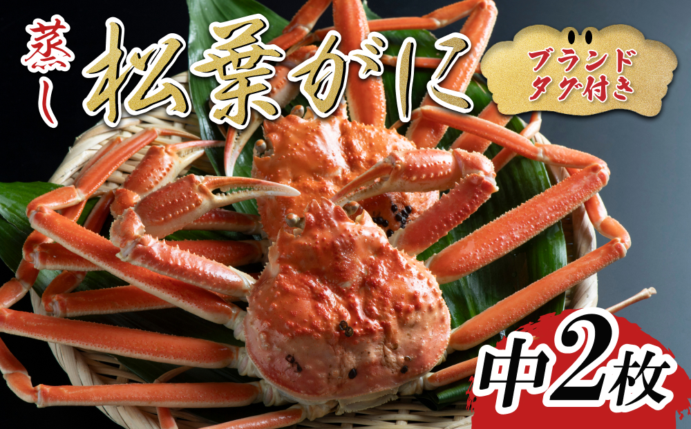 【蒸し】ブランドタグ付き松葉ガニ 中2枚 2025年11月～順次発送｜鳥取 岩美 松葉がに かに【22053】