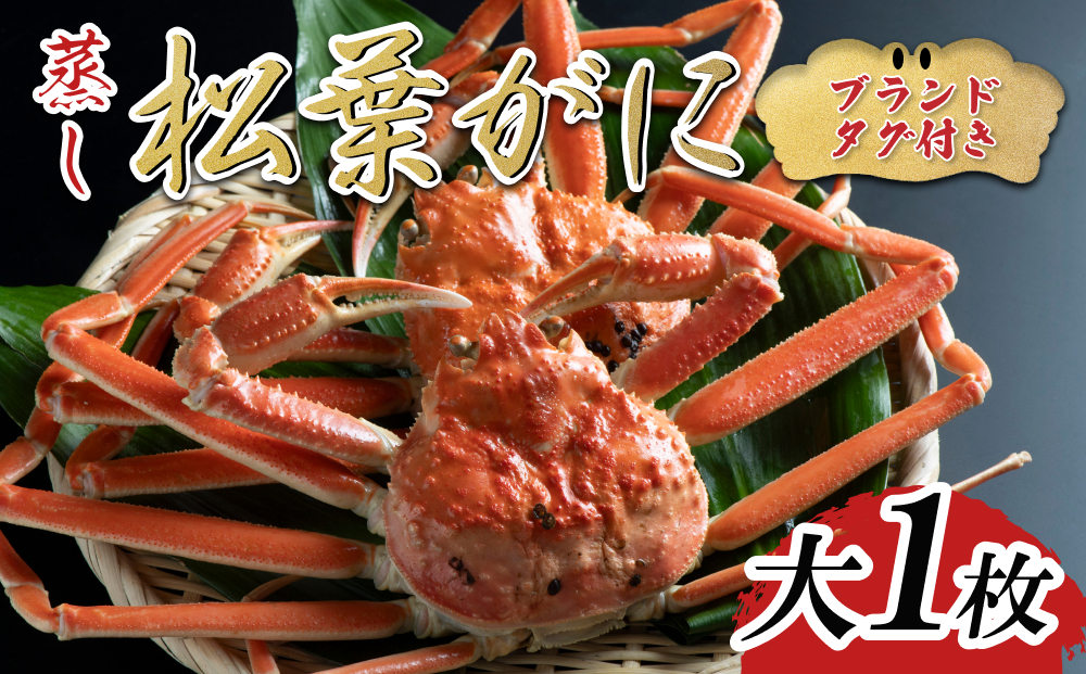 【蒸し】ブランドタグ付き松葉ガニ 大 1枚 2025年11月～順次発送｜鳥取 岩美 松葉がに かに【22055】