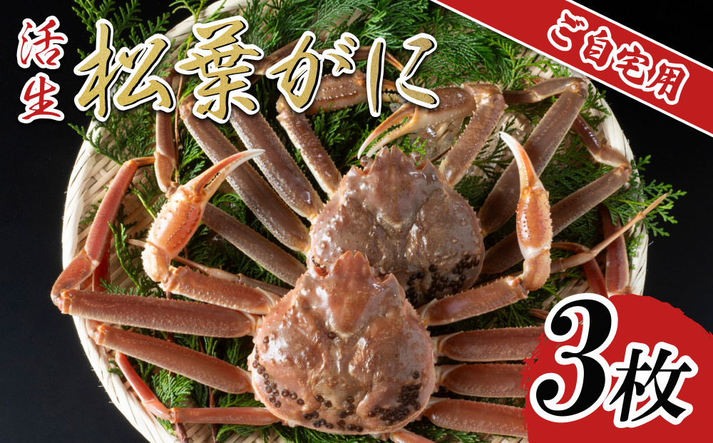【活生】ご自宅用松葉ガニ 3枚 2025年11月～順次発送予定｜鳥取 日本海 松葉がに 松葉蟹 かに ズワイガニ【22056】