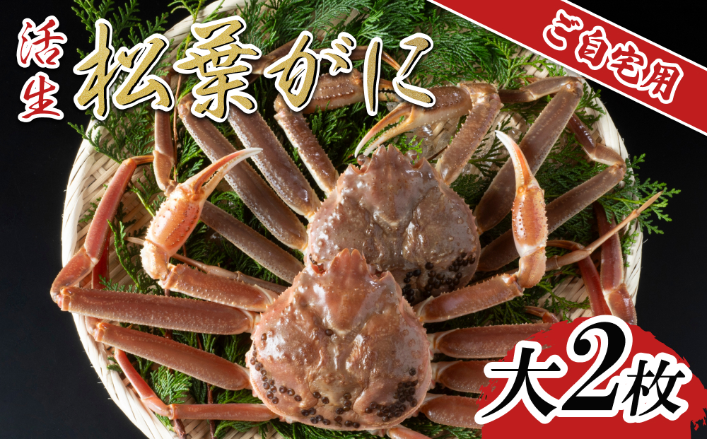 【活生】ご自宅用松葉ガニ 大 2枚 2025年11月～順次発送予定｜鳥取 日本海 松葉がに 松葉蟹 かに ズワイガニ【22058】