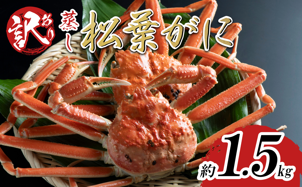 【蒸し】足折れ松葉ガニ 1.5kg前後 2025年11月～順次発送予定｜鳥取 日本海 松葉がに 松葉蟹 かに ズワイガニ【22062】