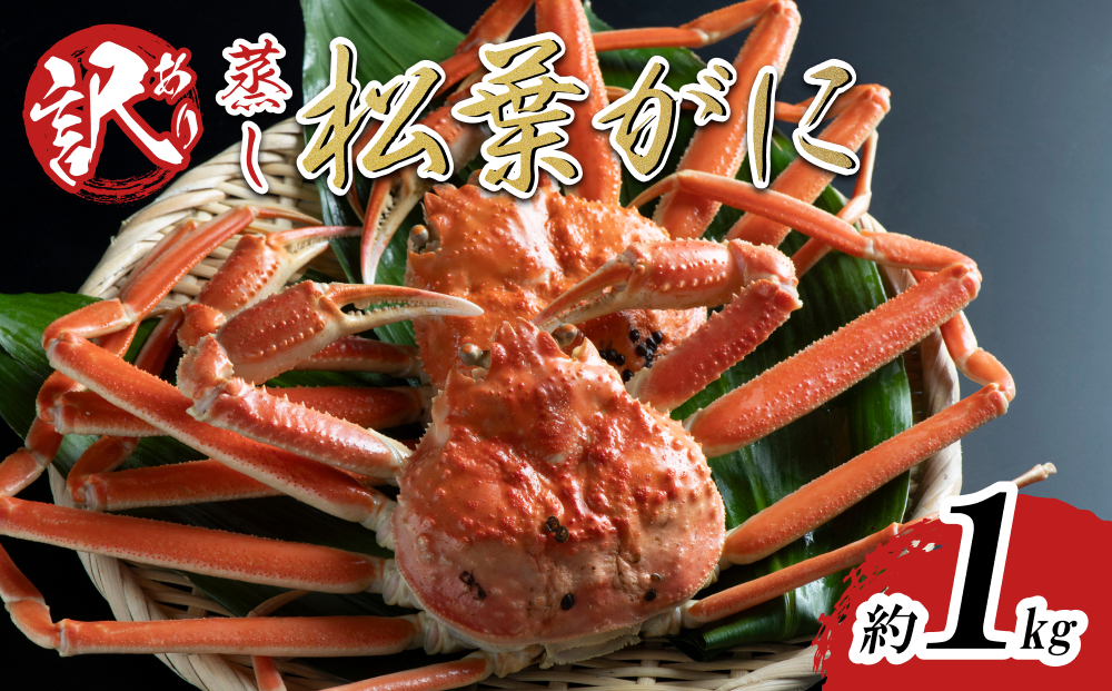 【蒸し】足折れ松葉ガニ 1kg前後 2025年11月～順次発送予定｜鳥取 日本海 松葉がに 松葉蟹 かに ズワイガニ【22063】