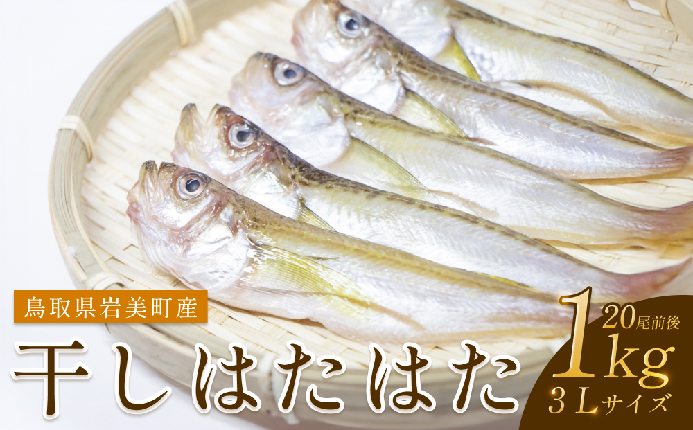 干しはたはた 1Kg（3L）20尾前後【24025】鳥取 岩美 山陰 日本海 ハタ 干物