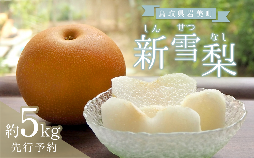 中野農園 梨 ”新雪梨” 5kg箱｜鳥取 岩美 梨 なし ナシ 赤梨 果物 フルーツ【41023】