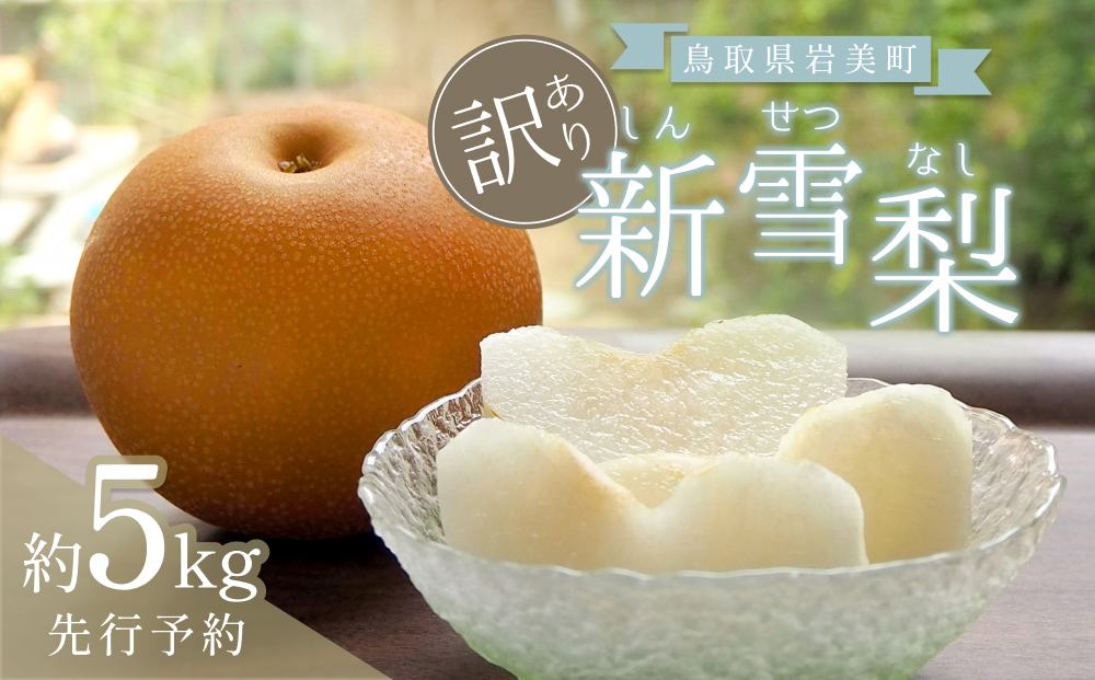 （訳あり）中野農園 梨 ”新雪梨” 5kg箱｜鳥取 岩美 梨 なし ナシ 赤梨 果物 フルーツ【41046】