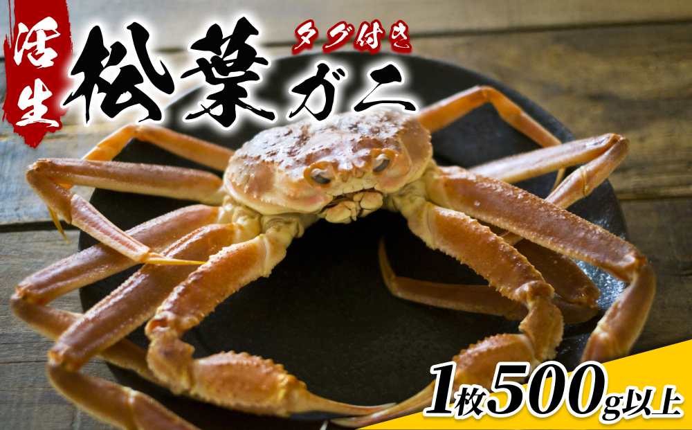【22014】鳥取県網代産　松葉がに（ブランドタグ付き）500g以上（生）