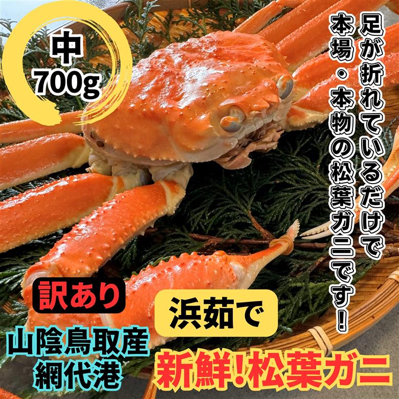 【22029】鳥取網代港【訳あり】浜茹で！松葉ガニ（中）700g【さかなや新鮮組】