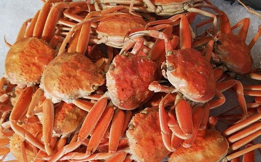 【22011-1】訳あり親がに（ボイル）