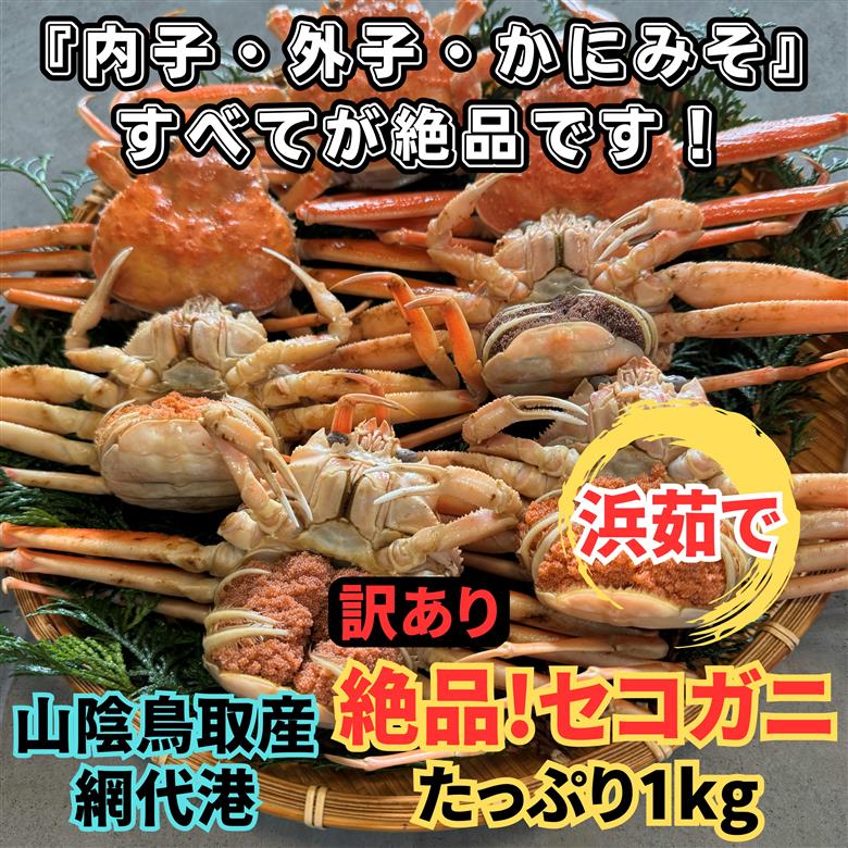 【22031】鳥取網代港【訳あり】浜茹で！絶品セコガニ1kgセット【さかなや新鮮組】