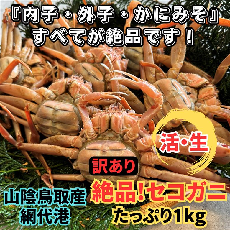 【22032】鳥取網代港【訳あり】活！絶品セコガニ1kgセット【さかなや新鮮組】