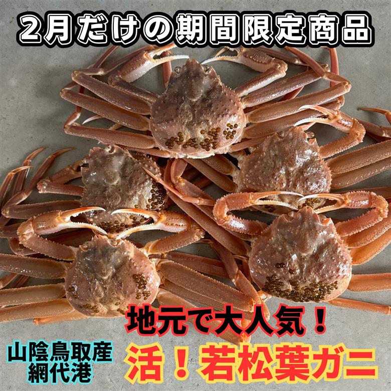 【22036】鳥取網代港　地元で大人気　活！若松葉ガニ（中5枚）【さかなや新鮮組】