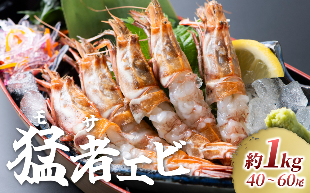 【23001】「幻のえび」モサエビ