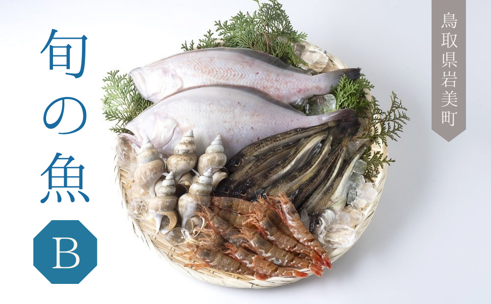 【21002】鳥取県岩美町 旬の魚おまかせセットB