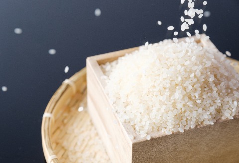 137．特別栽培米　若桜（わかさ）のお米　コシヒカリ　12ヶ月定期便（精米5kg×12ヶ月）