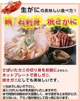 鳥取県産　訳あり活松葉がに　2～3枚で1.2ｋｇ以上（1～4本足落ち） [88]