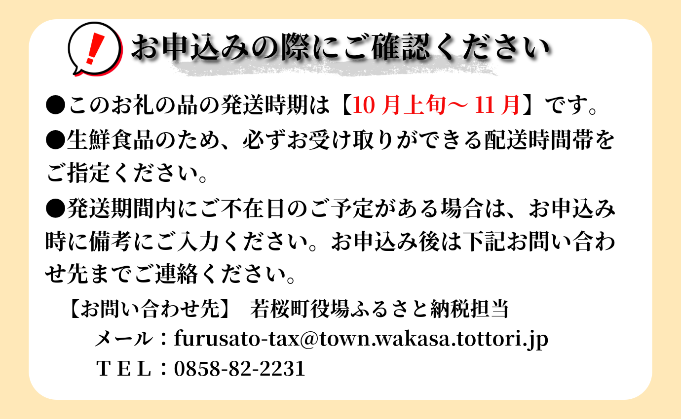 【先行予約】農家さん応援！訳あり新興梨（しんこうなし）4kg [223-W23]
