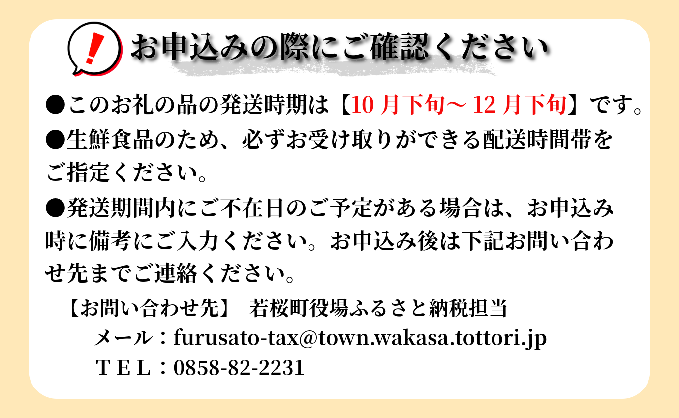 224-W24．農家さん応援　訳あり　王秋梨　4ｋｇ