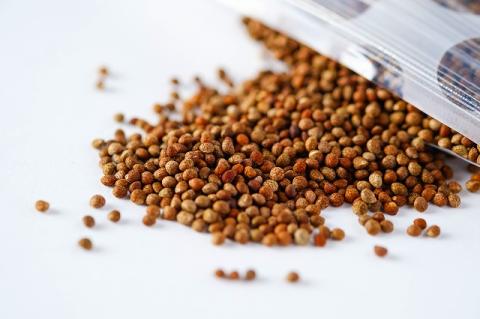 255．ゆず胡椒1個　焙煎えごま（実）1個　セット（若桜鉄道　列車缶セット）