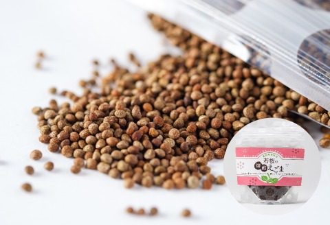 131．若桜（わかさ）の焙煎えごま（実）2個セット