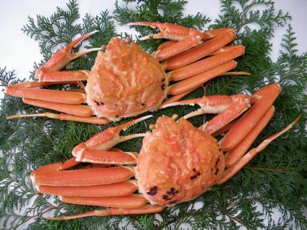 鳥取県産　訳あり浜茹で松葉がに　2～3枚で1.2ｋｇ以上（1～4本足落ち） [87]