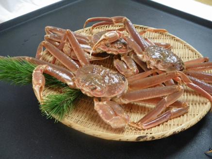 鳥取県産　訳あり活松葉がに　2～3枚で1.2ｋｇ以上（1～4本足落ち） [88]