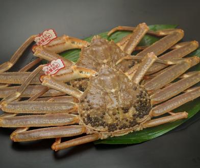 鳥取県産　タグ付き活松葉がに　700ｇ以上×2枚 [90]