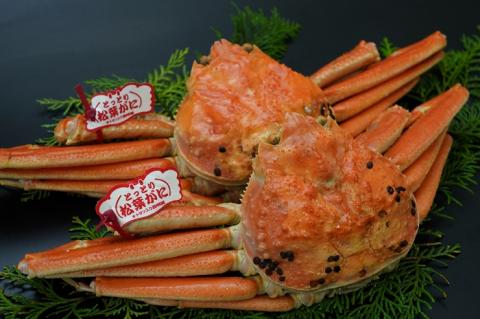 鳥取県産　タグ付き浜茹で松葉がに　800ｇ以上×2枚 [91]