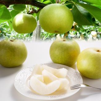 【先行予約】二十世紀梨 秀5kg前後 [201-W1]