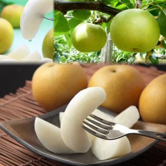 【'26先行予約】【品種はおまかせ】二十世紀梨と旬の赤梨セット ４ｋｇ [215-W15]