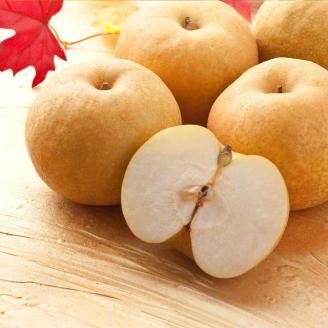 【'26先行予約】新興梨（しんこうなし）　４ｋｇ [216-W16]