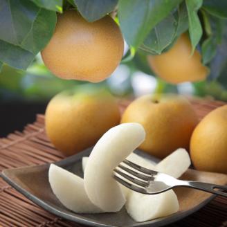 【'26先行予約】【品種はおまかせ】旬の赤梨セット　３ｋｇ [218-W18]