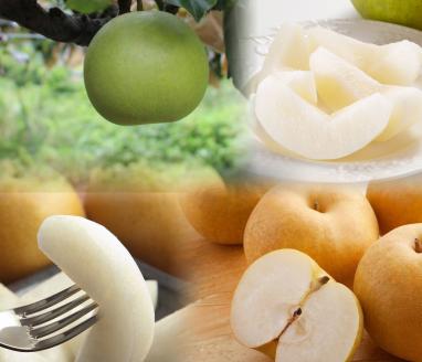 221-W21．【品種はおまかせ】農家さん応援！　訳あり　鳥取梨セット