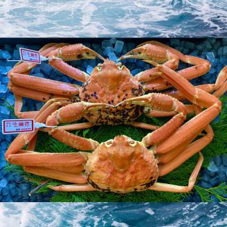 【配送日時指定可】【蒸し】タグ付き松葉ガニ　大　２枚(１枚800～940ｇ前後) [226-WK2]