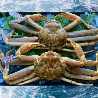 【配送日時指定可】【活き】タグ付き松葉ガニ　大　２枚(１枚800～940ｇ前後) [225-WK1]