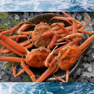 【配送日時指定可】【蒸し】訳あり足折れ松葉ガニ　1kg前後 [238-WK14]