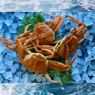 244-WK20．【先行予約】【配送日時指定可】【蒸し】訳あり足折れご自宅用　日本海産親ガニ（セコガ二）　3枚