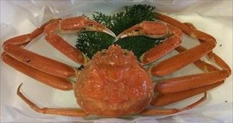 178-2．【魚倉】足１本なしボイル松葉ガニ訳あり（並５００ｇ）