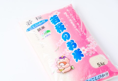 137.特別栽培米 若桜(わかさ)のお米 コシヒカリ 12ヶ月定期便(精米5kg×12ヶ月)